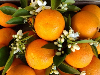 cum poti folosi floarea de portocal in bucatarie