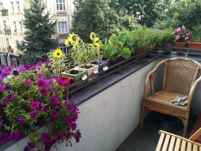 amenajari florale pentru balconul tau