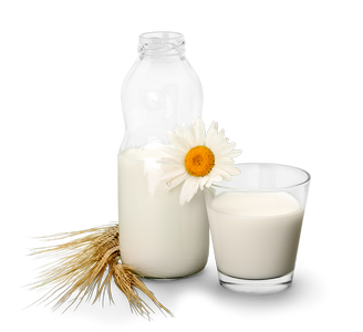 Știi care sunt cele mai bune varietăți de lapte vegetal?