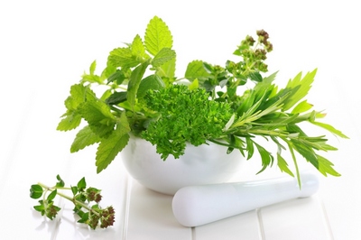 plante medicinale utile pentru tine